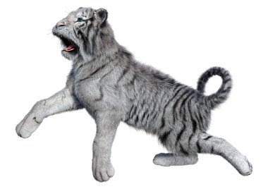 Beyaz arka planda izole edilmiş üç boyutlu beyaz kaplan görüntüsü