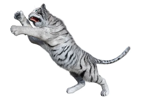 Representación Tigre Blanco Aislado Sobre Fondo Blanco — Foto de Stock