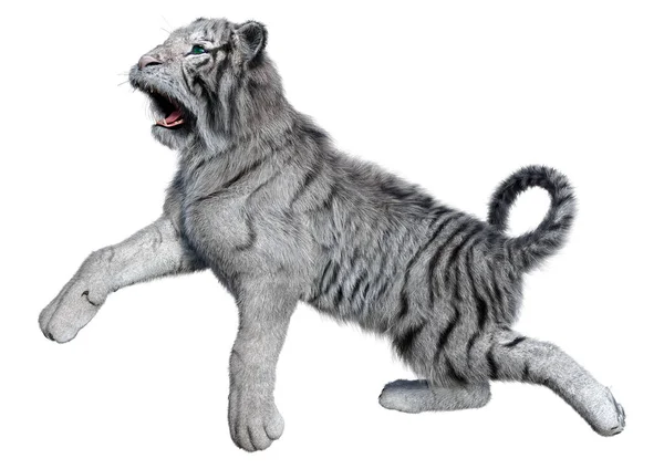 Beyaz arka planda izole edilmiş üç boyutlu beyaz kaplan görüntüsü