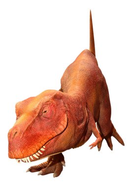 Beyaz zemin üzerinde izole edilmiş bir dinozor Tyrannosaurus Rex 'in 3D görüntüsü