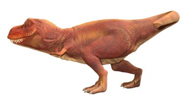 Beyaz zemin üzerinde izole edilmiş bir dinozor Tyrannosaurus Rex 'in 3D görüntüsü