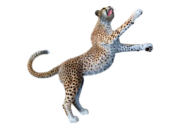 Återgivning Stor Katt Gepard Isolerad Vit Bakgrund — Stockfoto