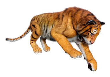 Beyaz arka planda izole edilmiş büyük bir kedi kaplanının 3 boyutlu görüntüsü