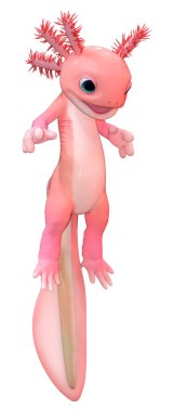 Beyaz arkaplanda izole edilmiş şirin pembe bir axolotl 'un 3 boyutlu canlandırması