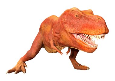Beyaz zemin üzerinde izole edilmiş bir dinozor Tyrannosaurus Rex 'in 3D görüntüsü