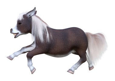 Üç boyutlu bir midilli ya da küçük bir at ya da beyaz arka planda izole Equus ferus caballus.