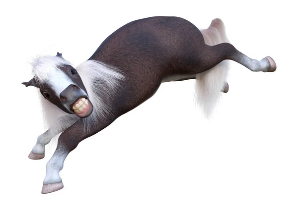 Rendering Pony Small Horse Equus Ferus Caballus Isolated White Background — Stockfoto