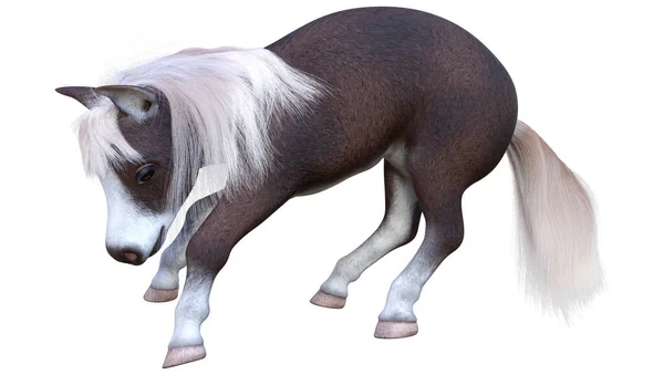 Rendering Pony Small Horse Equus Ferus Caballus Isolated White Background — ストック写真