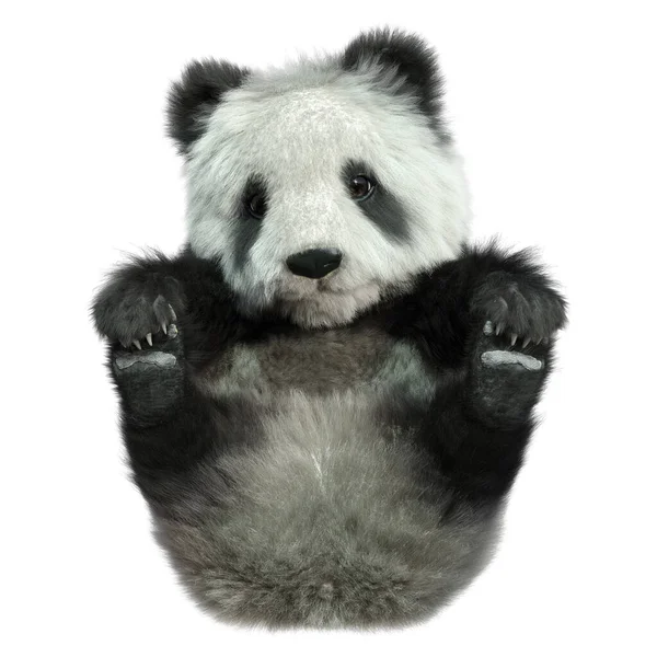 Рендеринг Панды Медведя Изолированы Белом Фоне — стоковое фото