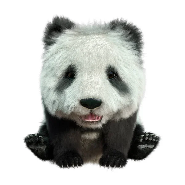 Rendu Ours Panda Isolé Sur Fond Blanc — Photo