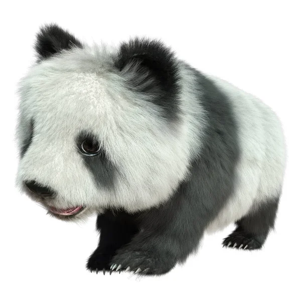 Weergave Van Een Panda Beer Geïsoleerd Witte Achtergrond — Stockfoto