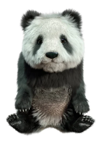 Renderização Urso Panda Isolado Fundo Branco — Fotografia de Stock