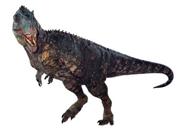 3D rendering of a dinosaur gigantosaurus isolated on white background