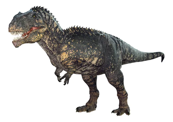 Απόδοση Ενός Δεινόσαυρου Gigantosaurus Απομονωμένο Λευκό Φόντο — Φωτογραφία Αρχείου