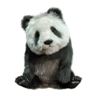 ayı panda beyaz arka plan üzerinde izole 3D render