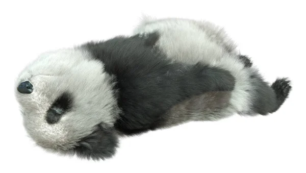Renderização Urso Panda Isolado Fundo Branco — Fotografia de Stock