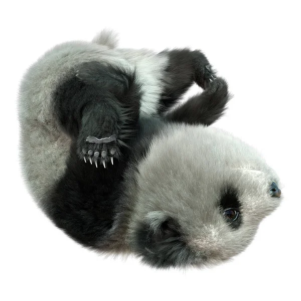 Renderização Urso Panda Isolado Fundo Branco — Fotografia de Stock