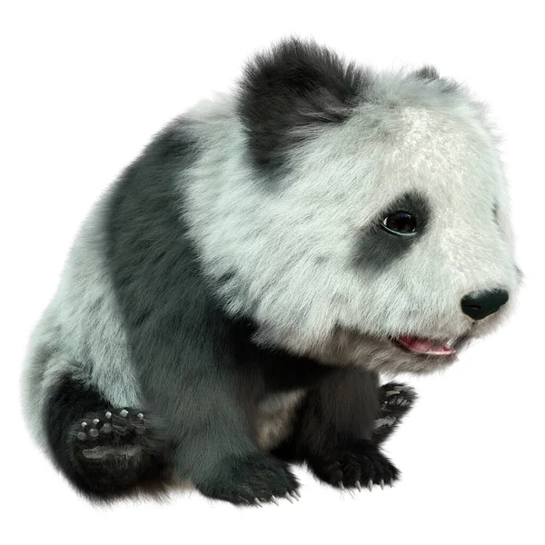 Vykreslování Panda Bear Izolovaných Bílém Pozadí — Stock fotografie
