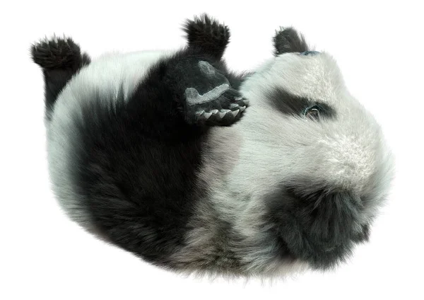 Rendering Orso Panda Isolato Sfondo Bianco — Foto Stock