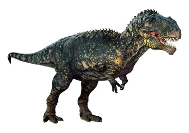 3D rendering of a dinosaur gigantosaurus isolated on white background