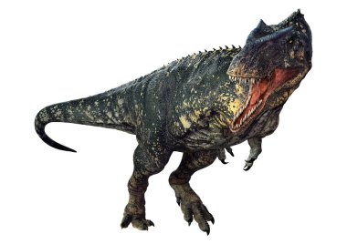 3D rendering of a dinosaur gigantosaurus isolated on white background