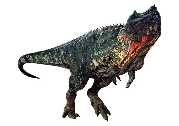 3D rendering of a dinosaur gigantosaurus isolated on white background