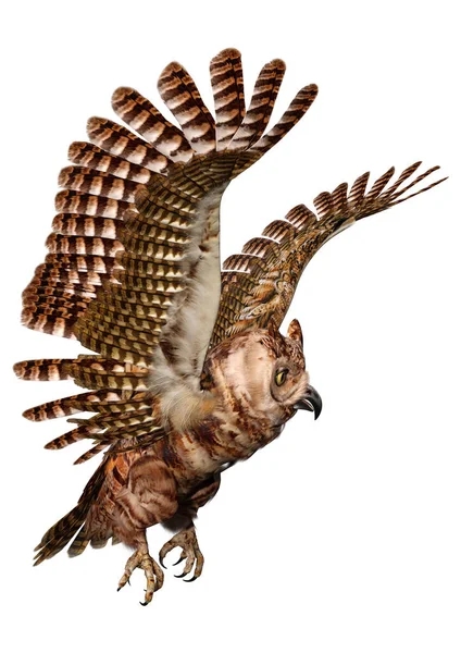 Weergave Van Een Grote Gehoornde Uil Tijgeruil Bubo Virginianus Geïsoleerd — Stockfoto