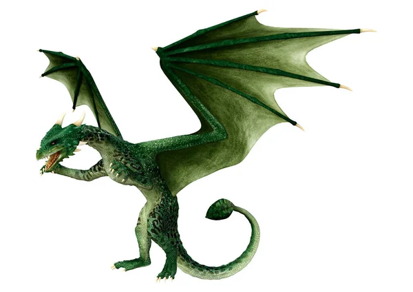 Darstellung Eines Fantasie Drachen Isoliert Auf Weißem Hintergrund — Stockfoto