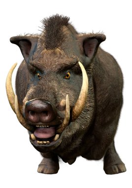 Beyaz arka plan üzerinde izole bir yaban domuzu 3D render