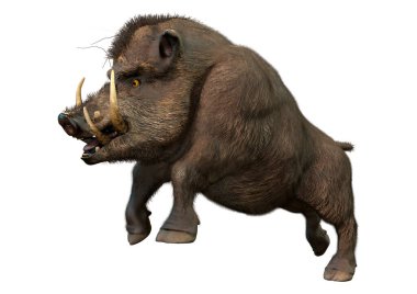 Beyaz arka plan üzerinde izole bir yaban domuzu 3D render
