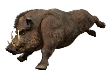 Beyaz arka plan üzerinde izole bir yaban domuzu 3D render