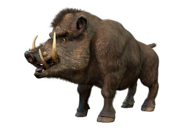 Beyaz arka plan üzerinde izole bir yaban domuzu 3D render