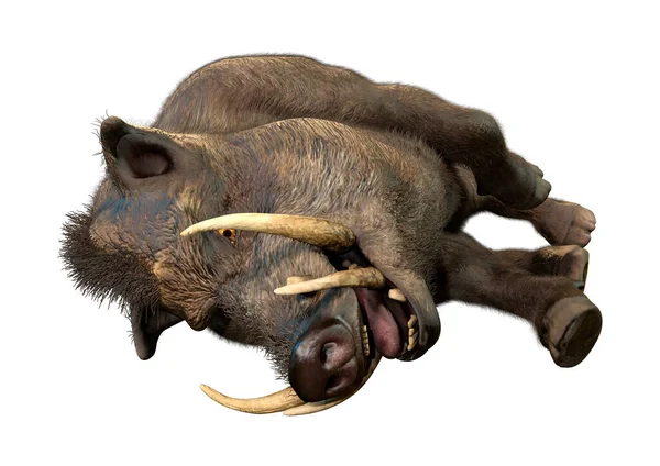 Beyaz arka plan üzerinde izole bir yaban domuzu 3D render