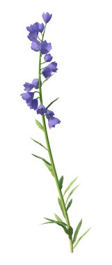 Beyaz arkaplanda mavi Canterbury çanlarının 3 boyutlu yorumlanması