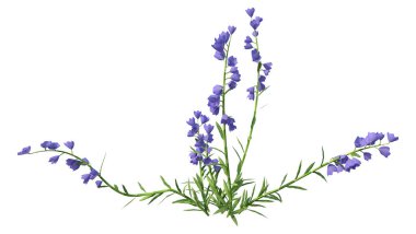 Beyaz arkaplanda mavi Canterbury çanlarının 3 boyutlu yorumlanması