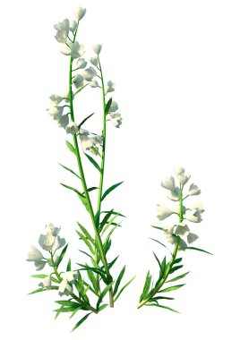 Canterbury çanlarının 3 boyutlu yorumlanması beyaz arkaplanda izole edildi