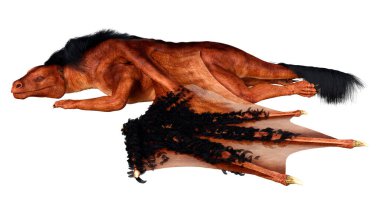 Beyaz arka planda izole edilmiş bir fantezi ejderhanın 3 boyutlu canlandırması