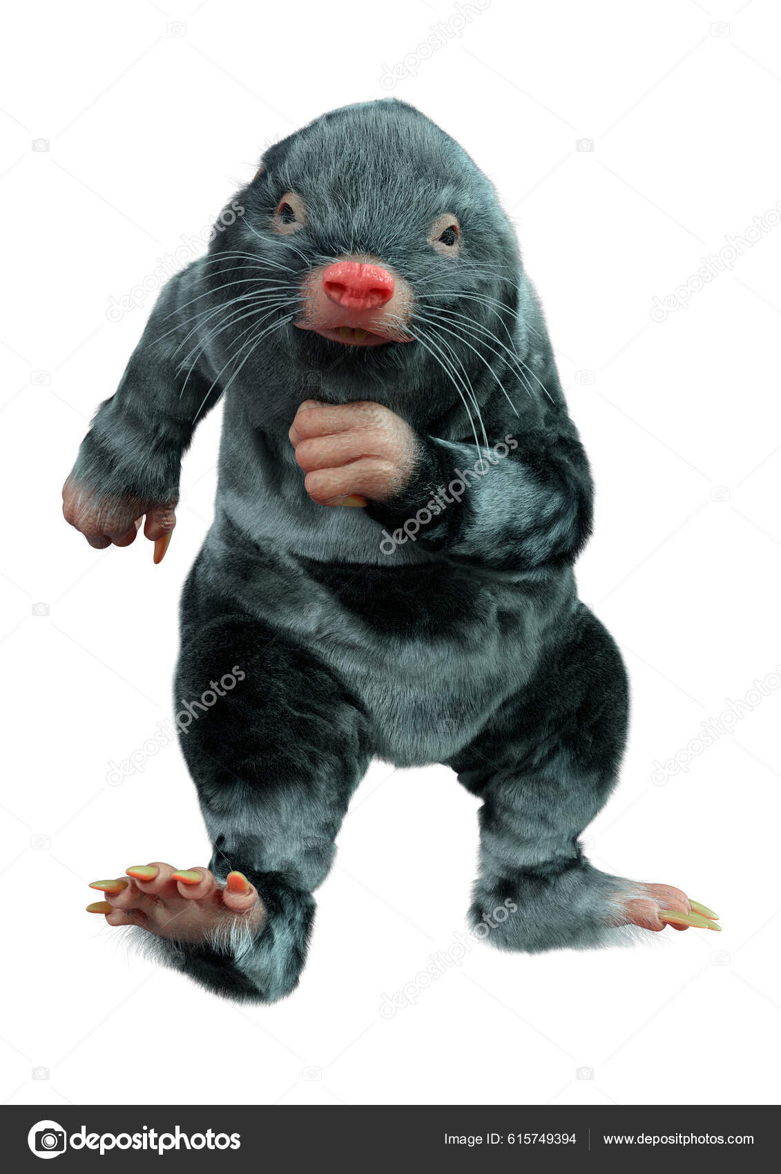 Mole animal Stock Photos, Royalty Free Mole animal Images | Depositphotos Mole animal Stock Photos, Royalty Free Mole animal Images | Depositphotos