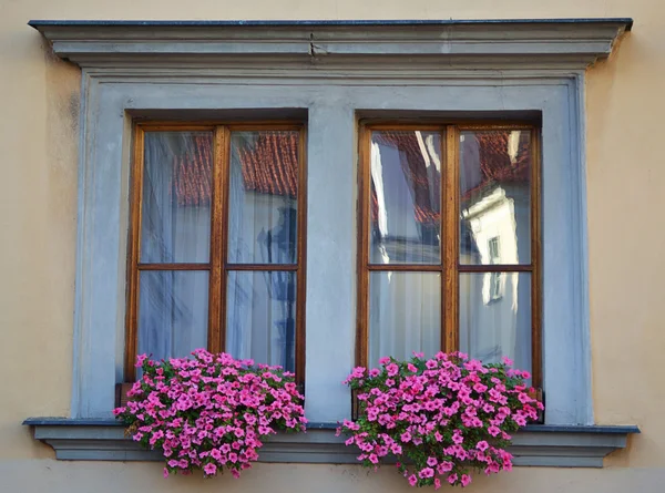 Velha janela ornamentada com flores — Fotografia de Stock