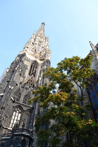 Gothic cathedral, Vienna, Austria — Stock Photo, Image