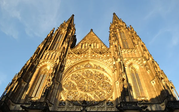 St. Vitus Cathedral, Prague, Czech republic — Stock Photo, Image