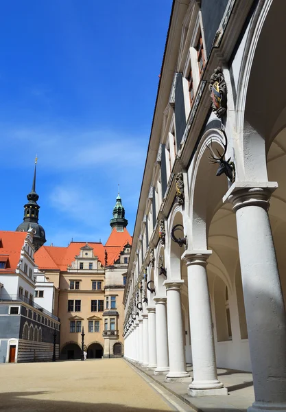 At dresden avluda — Stok fotoğraf