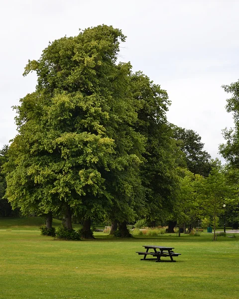 Beautiful Green Park, Лондон — стоковое фото