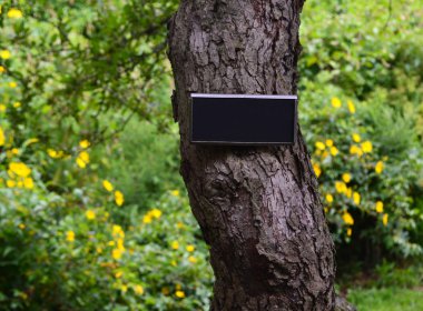 Bir ağaca bağlı küçük levha