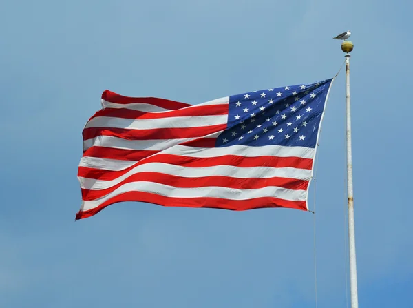 American flag waving in blue sky — Stock Photo, Image