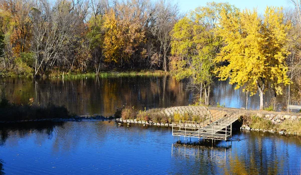 Barevné Podzimní Krajina Jezerem — Stock fotografie