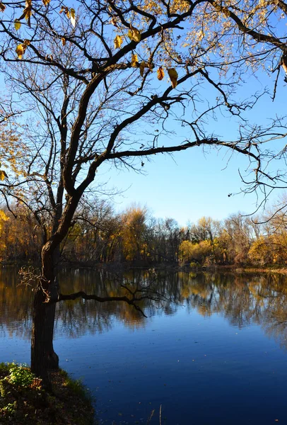 Barevné Podzimní Krajina Jezerem — Stock fotografie