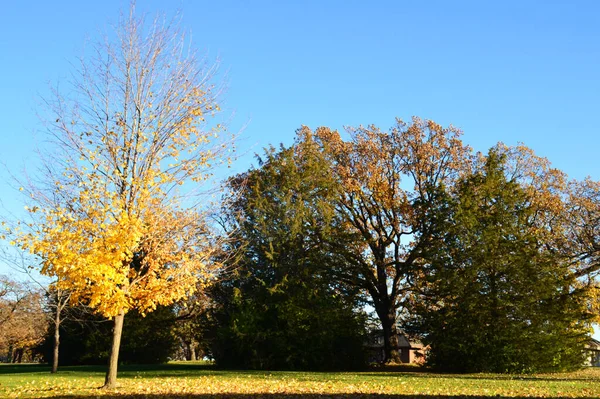 公園の秋の風景 — ストック写真