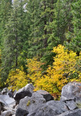 Yosemite Vadisi, Autumn, California, ABD