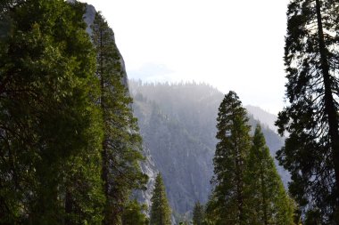 Yosemite Vadisi, Autumn, California, ABD